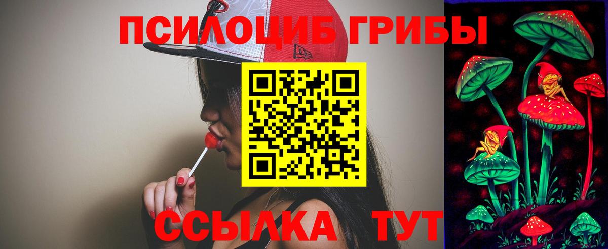 Псилоцибиновые грибы Cubensis  Вход с VPN  Норильск 
